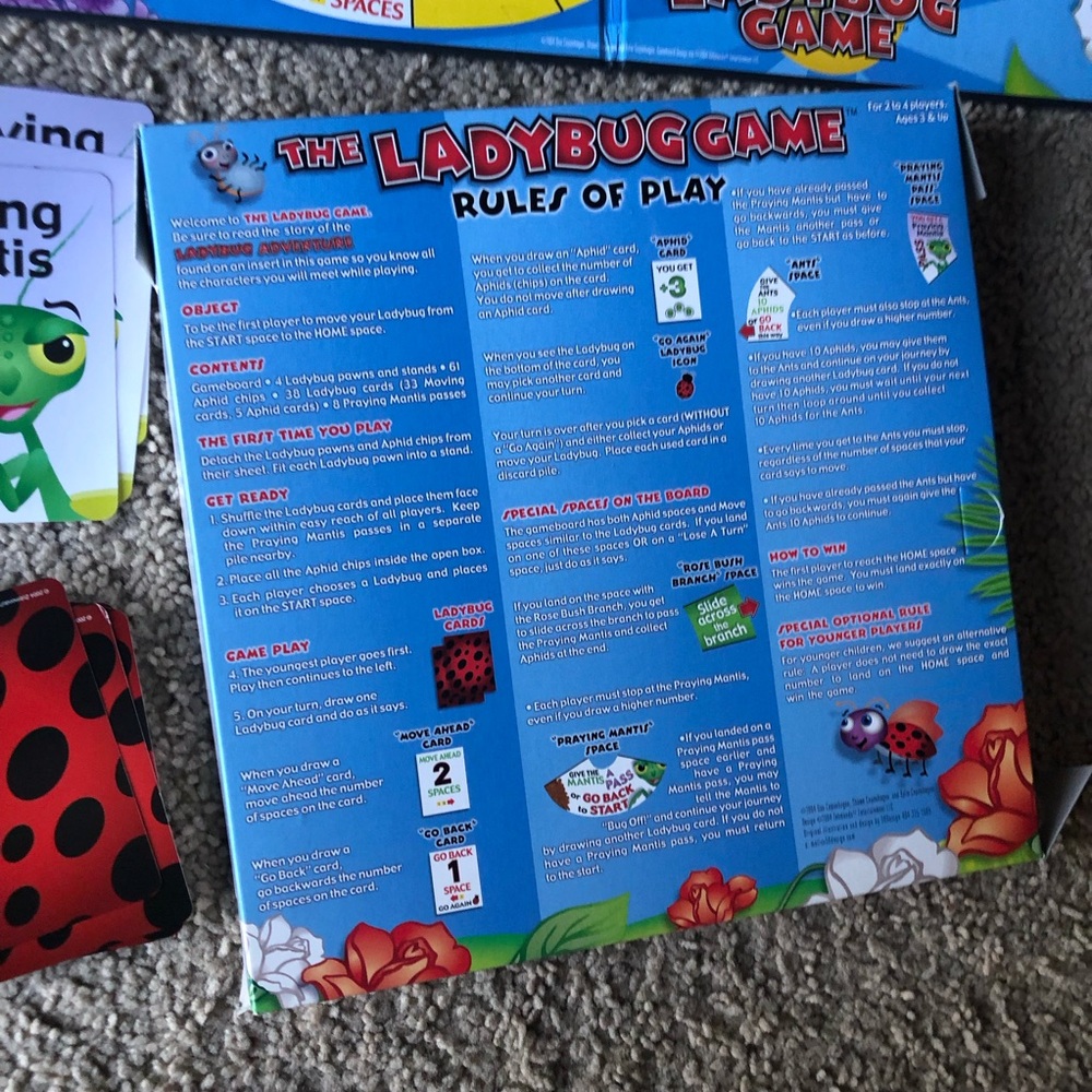 The Lady Bug Game - Picture 6 of 11